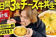 チーズ牛丼買ったったwww