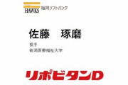 育　成　1　3　位　佐　藤　琢　磨