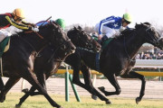【共同通信杯】リアライズシリウス頭差封じＶ！重賞２勝目