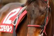 【競馬】　JCと有馬を6年連続で参戦した競走馬がいるらしい