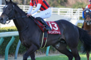【競馬】　ウインイクシード鈴木師「いいジョッキーがいないので、除外リスク承知で出走回避します」