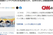 【悲報】仏の水族館閉園で人気シャチ、日本に引き取り予定も動物保護団体が猛抗議「日本人に虐待されて食べられる」フランス政府が介入で日本行き阻止