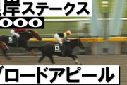 彼女に「競馬にハマりそうなレースの動画教えて！」って言われたんだけど