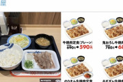 【悲報】松屋の牛焼肉定食、ネギと大根おろしが無くなってお値段そのままリニューアル
