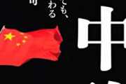 【朗報】中国父さん、1兆2000億円使いコロナで株価下落の会社買収しまくり