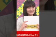 遠藤さくらの意外な一面を当てる五百城茉央ちゃん #乃木坂46 #乃木坂工事中