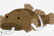 【ナゾロジー】ウナギの稚魚には魚に食べられても「エラからバックで抜け出す能力」があった