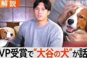 【悲報】ほとんどの日本人サッカー選手より大谷翔平の飼い犬の方が知名度が高いという事実←これ…