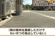 【悲報】日本、胸の筋肉を確認しただけで捕まってしまう
