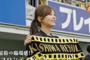 柏レイソルのPRアンバサダーにタレントの石崎日梨さんが就任　今年から応援番組「Rising Reysol!」のMC務める