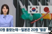 出来る時にはとことんぼったくりしるニダ！　〜　日本は「ガソリンが上がらなさすぎて騒ぎ」？…値上げ幅は21ウォン、韓国の10分の1