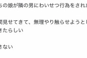 【悲報】娘が性被害にあったアニメアイコン父親、なぜか叩かれる。そこまで言われることか？