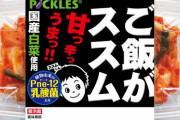 【悲報】兄さんユーチューバー「キムチはうちのもんやろ」父さん企業「侮辱すんのかコラ?？契約解除じゃ！」