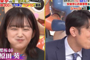 食レポ可愛すぎる櫻坂46原田葵、ネプチューン原田泰造さんに気に入られる【ジョブチューン】