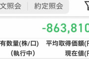 種銭800万円で株取引始めた結果ｗｗｗｗｗｗｗｗｗｗｗｗｗｗ