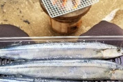 【朗報】年休ワイ、平日の昼間から七輪で秋刀魚を焼き始めるｗｗｗ