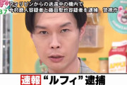 フジ「ルフィ逮捕ｗギャハハハｗｗｗｗｗｗ 」神田アナ(元NHK)「フジテレビって凄いですね…」
