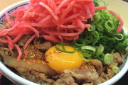 【悲報】紅しょうがさん、牛丼以外に使い道がない