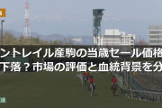 コントレイル産駒の当歳セール価格が下落？市場の評価と血統背景を分析