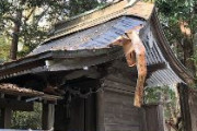 茨城や千葉、栃木3県の神社115社から屋根の銅板を盗むなどしたとして建設作業員ら男4人を逮捕　被害総額は約5910万円