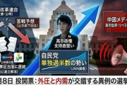 【速報】中革連、苦戦　中国政府が長文で「反極右！反毒苗！」と大絶賛し多大な期待を表明したのになぜ・・・