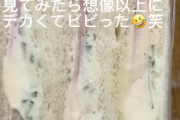 ツイッター「サンドイッチ買ったら虫入りだった」