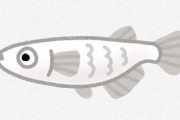 メダカスレ民さん「左目が完全に欠落している個体発見！これを繁殖させて『独眼竜』って名前付ければ高値で売れるかな？」