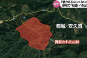 「魅力ある山じゃない」何のために？宮崎県で700ヘクタールの土地を買収…外資系企業の目的は！