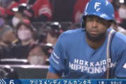 【朗報】日本ハム、大当たり助っ人がやって来た模様