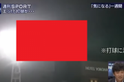 【※動画】野球の試合中、ガチで起こったミステリー現象。謎すぎワロタｗｗｗｗｗｗｗｗｗｗｗｗｗｗｗｗ