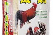 【地獄】アメリカ人、卵1パック2500円に耐えきれず鶏を育て始める