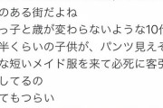 フェミさん「秋葉のメイド文化は性的搾取だろ！」メイド「好きでやってるんだが？」