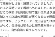 【悲報】ビッグモーター店舗前の街路樹だけなぜか枯れてしまう怪奇現象が次々と発生…犯人は一体誰だ？？？