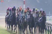 【競馬板】今日パチ行ったら1回転目で当たったんだが