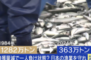 【超絶悲報】日本、あと25年で魚が食べられなくなるかもしれない
