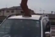 【悲報】クソガキ、車の上に乗って踊り狂うも落下 → 大ダメージを負ってしまうｗｗｗｗｗ