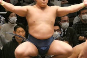 相撲「所属力士が584人います。十両以上は70人です」