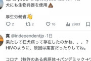 【悲報】反ワク「狂犬病は存在しない」←これｗｗｗｗｗｗｗｗｗｗ