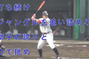 現役選手の迷曲応援歌で打線組んだwwwwww
