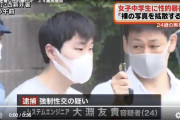 【悲報】中学生を脅して性的暴行を加えたイケメン(24)逮捕ｗｗｗｗｗｗｗｗｗｗｗ