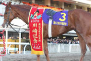 2/1（水）農林水産大臣賞典 第72回 川崎記念（JpnI）