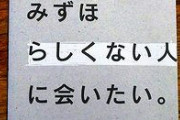 【夏子の話題】社民党さん「JRが謝らないからあの車椅子が悪者にされてる」との公式見解を発表