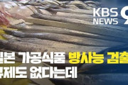 【韓国KBS】日本の加工食品から放射能検出 “基準値以下”だったが全量返品...加工品にも輸入規制という指摘も