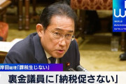 【確定申告】4000万円以下の収入は申告の必要無しという風潮‥‥