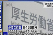 【悲報】アベノマスクの配布の経費は466億円