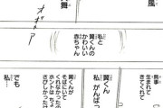 【悲報】キャプテン翼の嫁早苗ちゃん、双子を産んで死亡