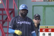【速報】日ハムレイエス紅白戦初タイムリー！根本初回から連打浴びる