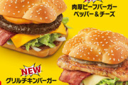 【画像】マクナルが今日から新発売のやつ?