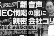 平井デジタル改革担当大臣､NEC恫喝の裏で親密会社｢ACES｣をゴリ押し　官製談合防止法違反の疑い