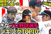 高校球児が選ぶ好きな投手、野手トップ10wxywywx